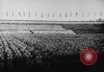 Standbild Adolf Hitler Berlin Deutschland, 1936, aus Sekunde 19 historischem Filmmaterial Videoclip 65675047318