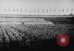 Standbild Adolf Hitler Berlin Deutschland, 1936, aus Sekunde 20 historischem Filmmaterial Videoclip 65675047318