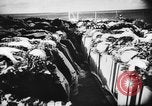 Immagine di Marinai tedeschi Germania, 1937, secondo 19 filmato di repertorio 65675047322