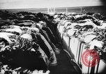 Immagine di Marinai tedeschi Germania, 1937, secondo 20 filmato di repertorio 65675047322