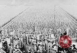 Image of Adolf Hitler Nuremberg Germany, 1937, second 46 stock footage video 65675047325