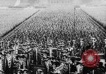 Image of Adolf Hitler Nuremberg Germany, 1937, second 47 stock footage video 65675047325