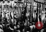 Image Adolf Hitler Allemagne, 1937, de la seconde 36 séquences d'archives historiques vidéo 65675047326