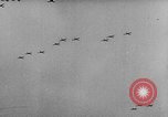Image Adolf Hitler Memel Lituanie, 1939, de la seconde 59 séquences d'archives historiques vidéo 65675047342