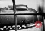 Immagine di Invasione del Belgio Paesi Bassi il teatro europeo, 1940, secondo 57 filmato di repertorio 65675047350