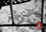 Immagine di Invasione del Belgio Paesi Bassi il teatro europeo, 1940, secondo 60 filmato di repertorio 65675047350