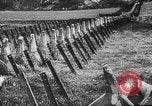 Immagine di Invasione della Grecia Europa, 1941, secondo 27 filmato di repertorio 65675047355