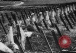 Immagine di Invasione della Grecia Europa, 1941, secondo 29 filmato di repertorio 65675047355