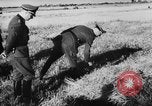 Image Heinrich Himmler MINSK Bélarus Union Soviétique, 1941, de la seconde 57 séquences d'archives historiques vidéo 65675047359