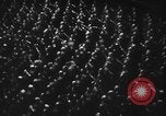 Image Adolf Hitler Allemagne, 1941, de la seconde 36 séquences d'archives historiques vidéo 65675047360