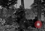 Standbild Rifle Squad Truppen United States USA, 1961, aus Sekunde 60 historischem Filmmaterial Videoclip 65675047370