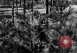 Image of Rifle Squad troops United States USA, 1961, second 11 stock footage video 65675047372