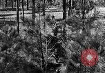 Image of Rifle Squad troops United States USA, 1961, second 13 stock footage video 65675047372