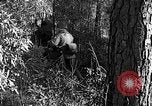 Image of Rifle Squad troops United States USA, 1961, second 14 stock footage video 65675047372