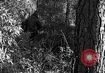 Image of Rifle Squad troops United States USA, 1961, second 15 stock footage video 65675047372
