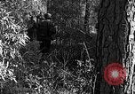 Image of Rifle Squad troops United States USA, 1961, second 20 stock footage video 65675047372