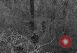 Image of Rifle Squad troops United States USA, 1961, second 23 stock footage video 65675047372