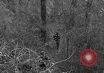 Image of Rifle Squad troops United States USA, 1961, second 24 stock footage video 65675047372