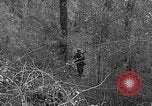 Image of Rifle Squad troops United States USA, 1961, second 25 stock footage video 65675047372