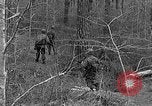 Image of Rifle Squad troops United States USA, 1961, second 28 stock footage video 65675047372
