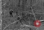 Image of Rifle Squad troops United States USA, 1961, second 29 stock footage video 65675047372