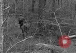 Image of Rifle Squad troops United States USA, 1961, second 30 stock footage video 65675047372