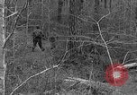 Image of Rifle Squad troops United States USA, 1961, second 34 stock footage video 65675047372