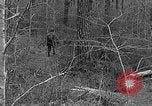 Image of Rifle Squad troops United States USA, 1961, second 35 stock footage video 65675047372