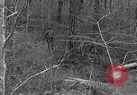 Image of Rifle Squad troops United States USA, 1961, second 36 stock footage video 65675047372