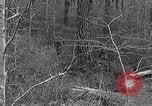 Image of Rifle Squad troops United States USA, 1961, second 37 stock footage video 65675047372