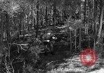 Image of Rifle Squad troops United States USA, 1961, second 10 stock footage video 65675047373