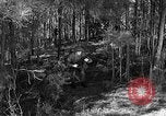 Image of Rifle Squad troops United States USA, 1961, second 11 stock footage video 65675047373