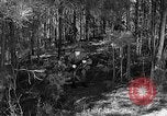 Image of Rifle Squad troops United States USA, 1961, second 14 stock footage video 65675047373