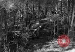 Image of Rifle Squad troops United States USA, 1961, second 15 stock footage video 65675047373
