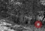 Image of Rifle Squad troops United States USA, 1961, second 17 stock footage video 65675047373