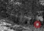 Image of Rifle Squad troops United States USA, 1961, second 18 stock footage video 65675047373