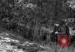 Image of Rifle Squad troops United States USA, 1961, second 21 stock footage video 65675047373