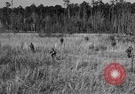 Image of Rifle Squad troops United States USA, 1961, second 9 stock footage video 65675047374