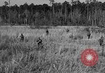 Image of Rifle Squad troops United States USA, 1961, second 10 stock footage video 65675047374