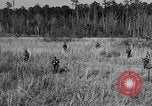 Image of Rifle Squad troops United States USA, 1961, second 11 stock footage video 65675047374