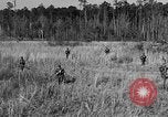 Image of Rifle Squad troops United States USA, 1961, second 12 stock footage video 65675047374
