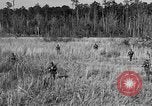 Image of Rifle Squad troops United States USA, 1961, second 13 stock footage video 65675047374