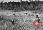 Image of Rifle Squad troops United States USA, 1961, second 15 stock footage video 65675047374