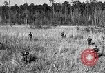 Image of Rifle Squad troops United States USA, 1961, second 16 stock footage video 65675047374