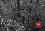 Image of Rifle Squad troops United States USA, 1961, second 22 stock footage video 65675047374