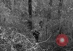 Image of Rifle Squad troops United States USA, 1961, second 23 stock footage video 65675047374