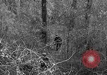Image of Rifle Squad troops United States USA, 1961, second 25 stock footage video 65675047374