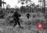 Image of Rifle Squad troops United States USA, 1961, second 30 stock footage video 65675047374