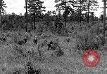 Image of Rifle Squad troops United States USA, 1961, second 31 stock footage video 65675047374