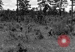 Image of Rifle Squad troops United States USA, 1961, second 32 stock footage video 65675047374